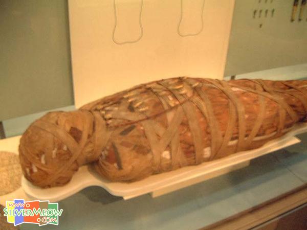 館內展出埃及木乃伊 Egyptian Mummies