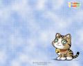 Fafa Cat Wallpaper